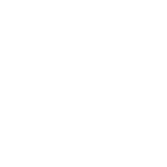 Codex